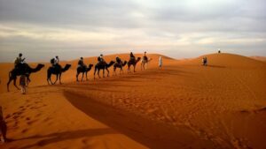 <img src="topinfo_bg.png" role=“ Camel Safari Jaisalmer Rajasthan India-Rajasthan Heritage Tour”>