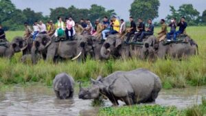<img src="topinfo_bg.png" role=“ Rhino kaziranga national park asam India-India Tourism”>